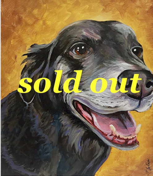 PAINT YOUR PET